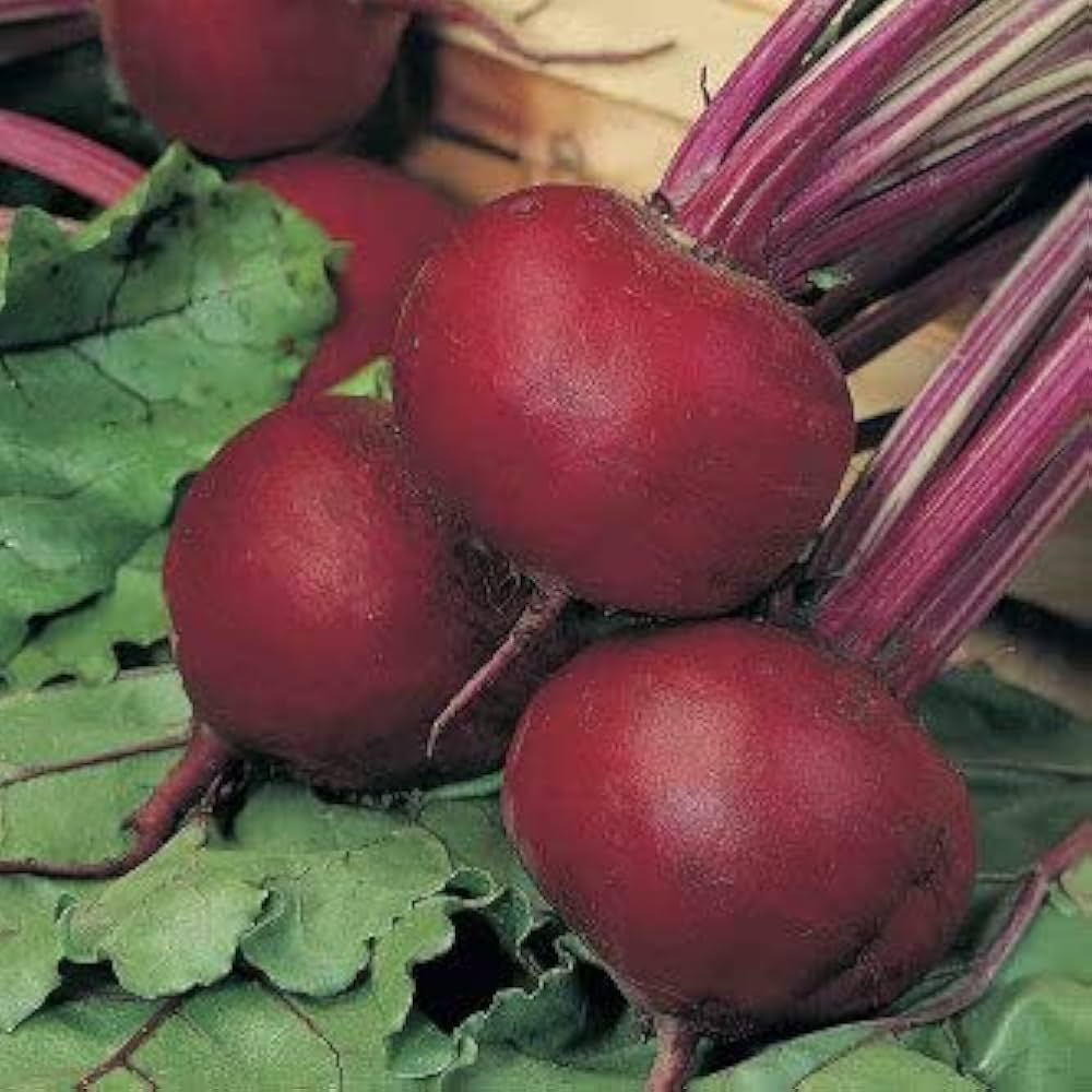 Beet Seeds for Home & Terrace Gardening