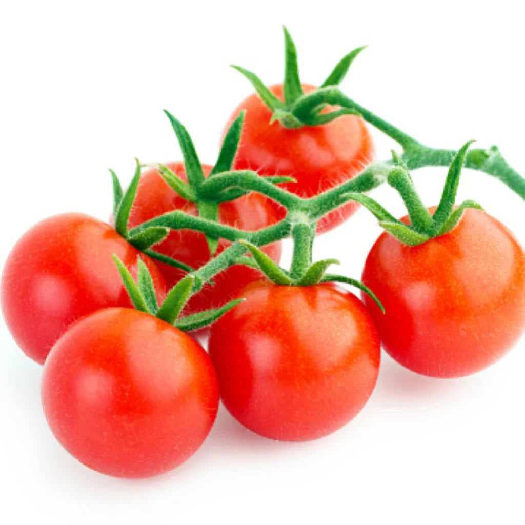 Cherry Tomato Red Seeds for Home & Terrace Gardening