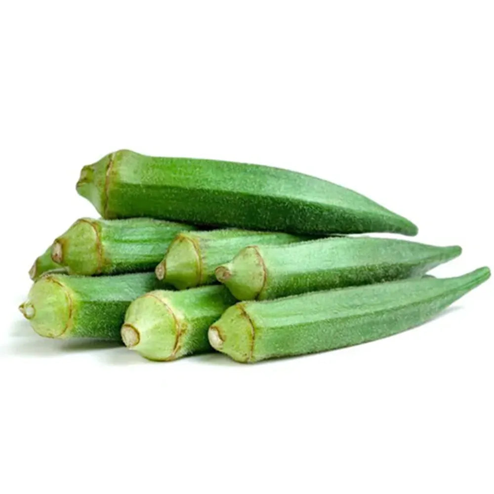 Lady Finger Seeds for Home & Terrace Gardening
