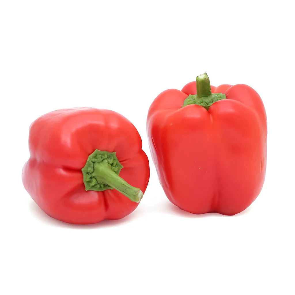 Capsicum Red Seeds for Home & Terrace Gardening