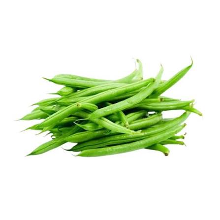 French Beans Seeds for Home & Terrace Gardening