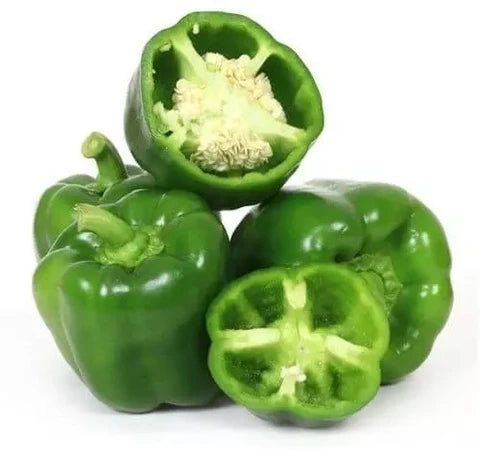 Capsicum Green Seeds for Home & Terrace Gardening