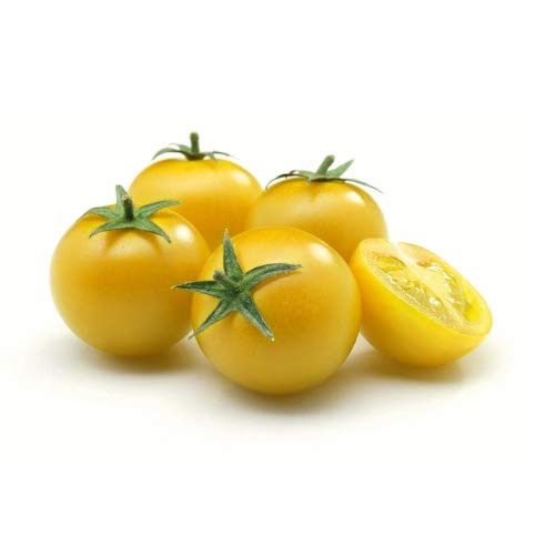 Cherry Tomato Yellow Seeds for Home & Terrace Gardening