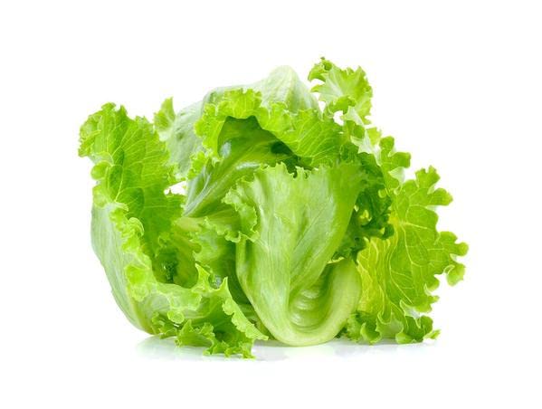 Lettuce Seeds for Home & Terrace Gardening