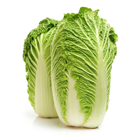 Chinese Cabbage Seeds for Home & Terrace Gardening