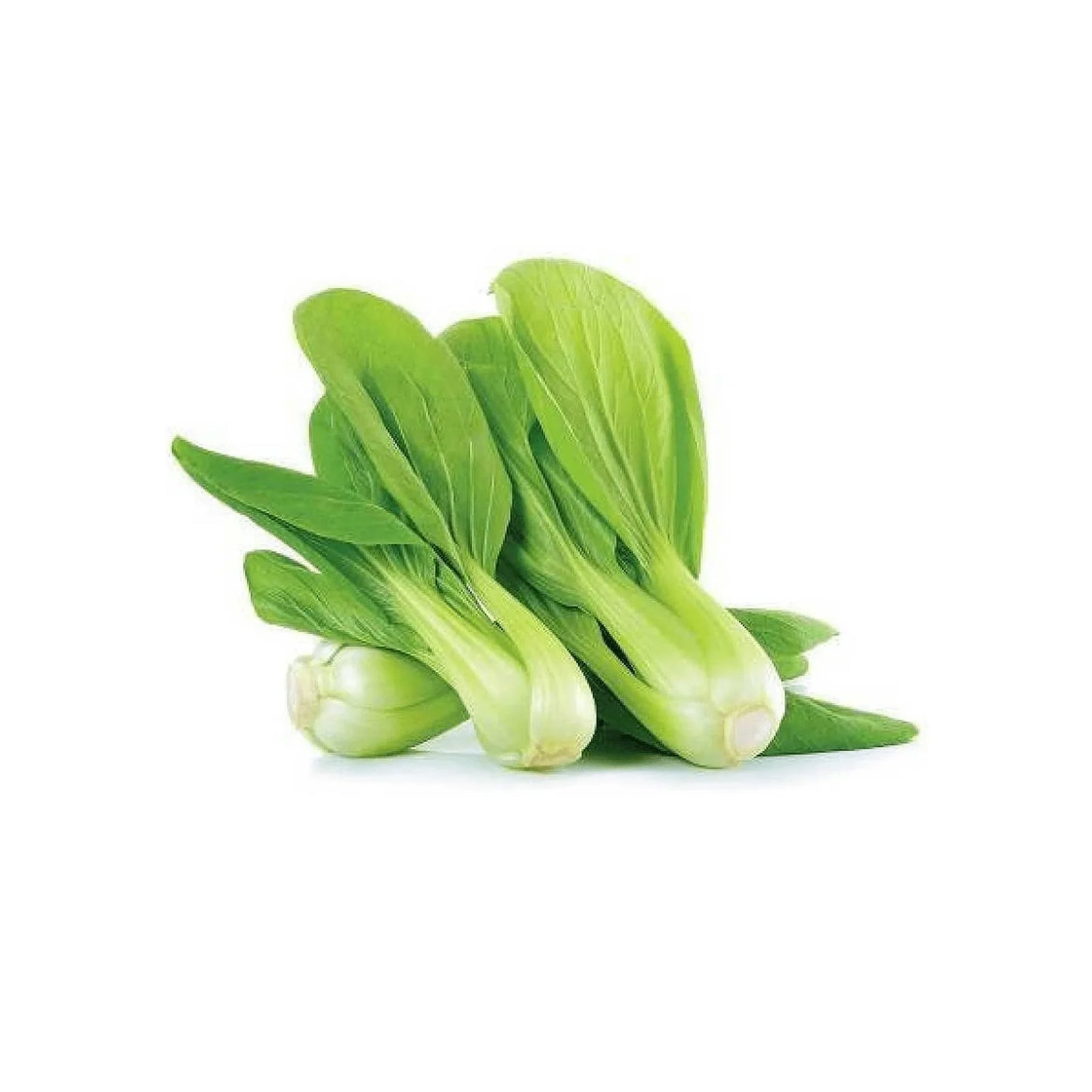 Pak Choy Seeds for Home & Terrace Gardening