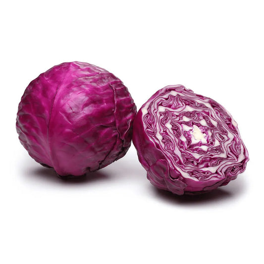 Red Cabbage Seeds for Home & Terrace Gardening