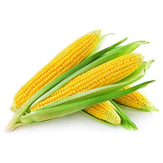 Sweetcorn Seeds for Home & Terrace Gardening
