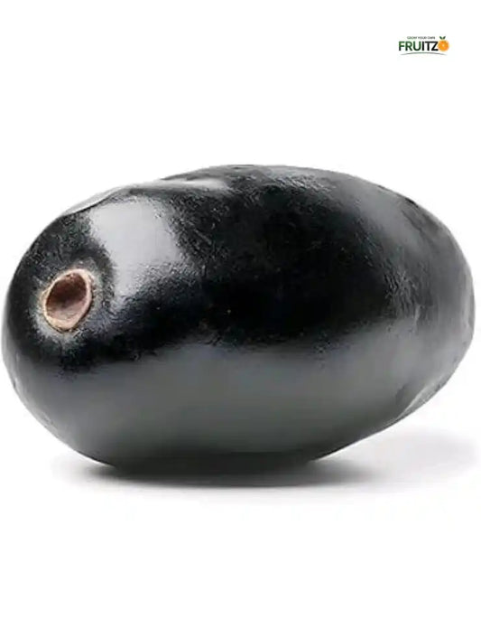All Time Black Jamun KG-10 plant  for Home & Terrace Gardening