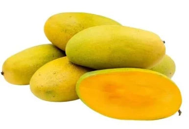 Dasheri Grafted Mango Plant 1.5 - 2 Feet