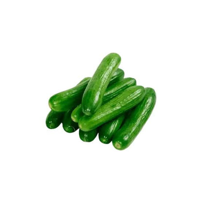 Healthy Harvest Combo For Kitchen Gardening