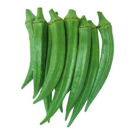 Healthy Harvest Combo For Kitchen Gardening