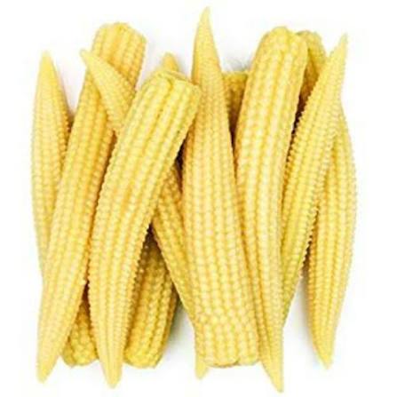 Baby Corn Seeds for Home & Terrace Gardening