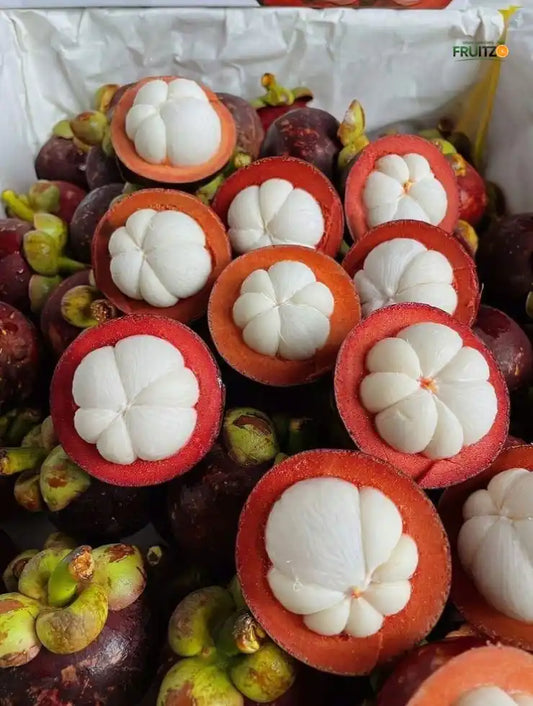 Mangosteen Grafted Fruit Plant for Home & Terrace Gardening